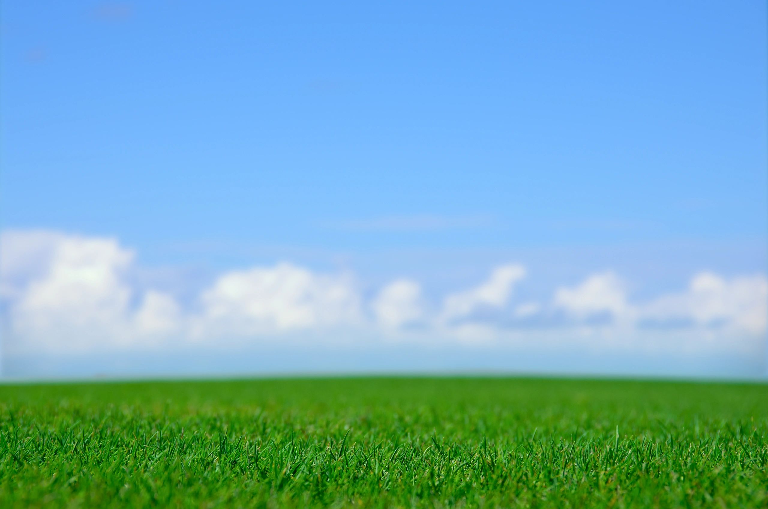 Open green field under blue sky
