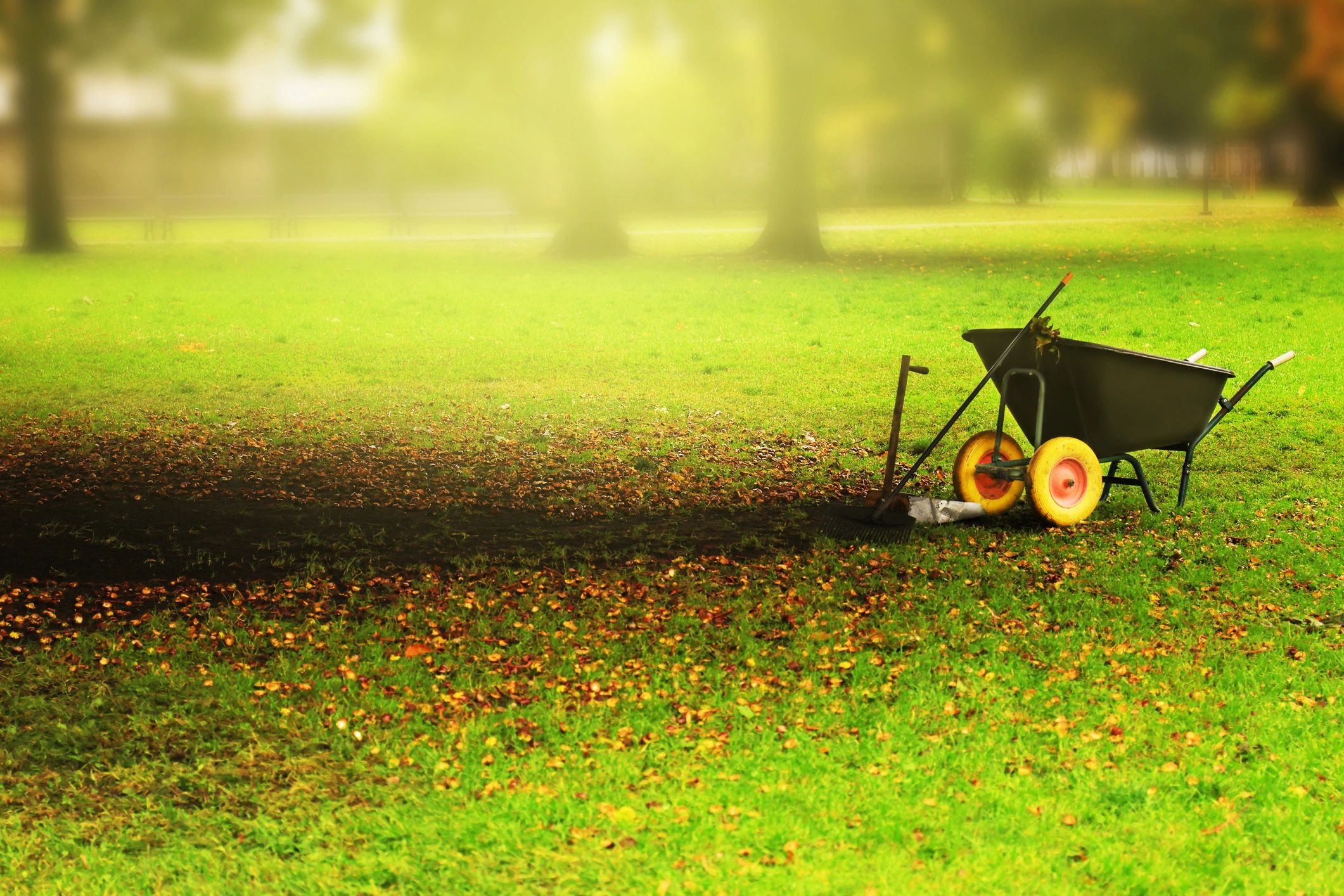 Gardening tools on lawn ready for outdoor maintenance