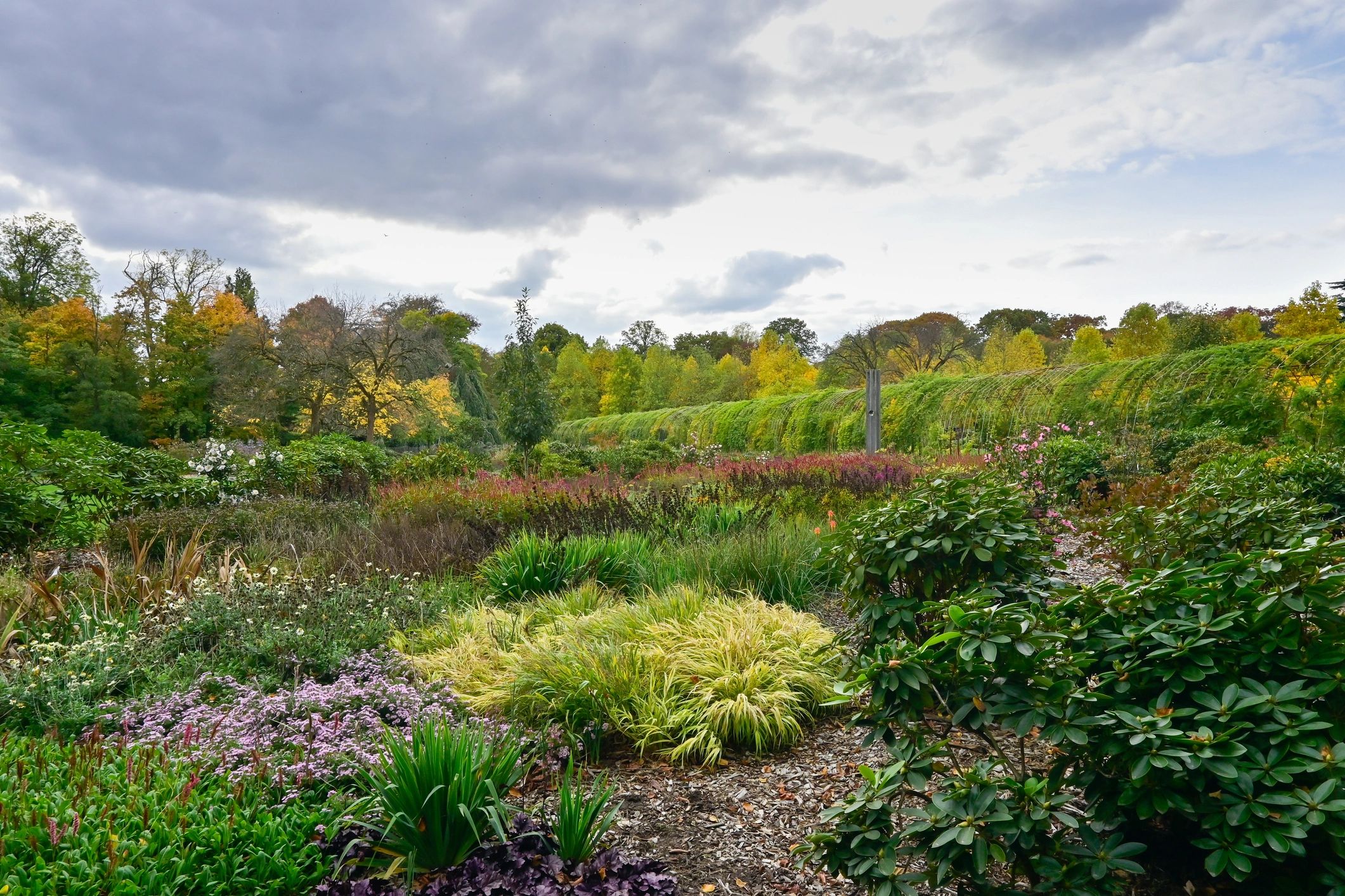 Healthy landscaped garden with lush greenery