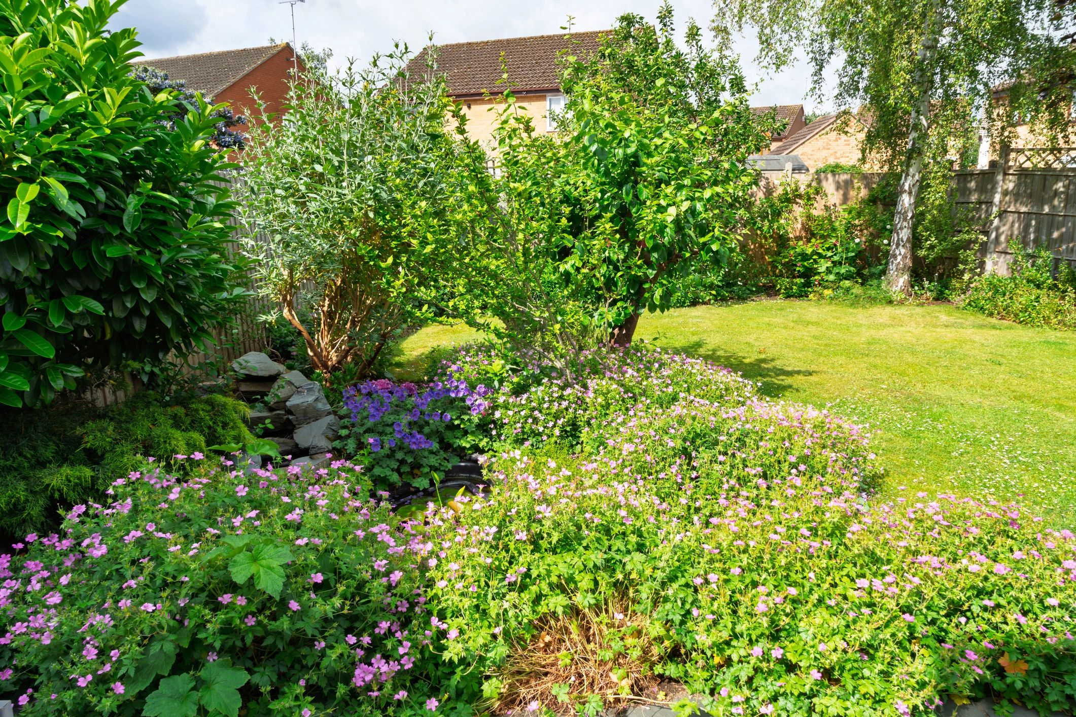 Garden pond surrounded by flowers and shrubs